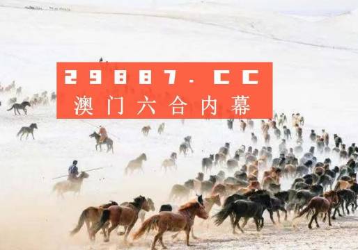 揭秘新澳门彩4949，最新开奖记录与彩民心声