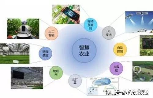 新澳2025年精准资料，未来农业的智慧蓝图与科技革新