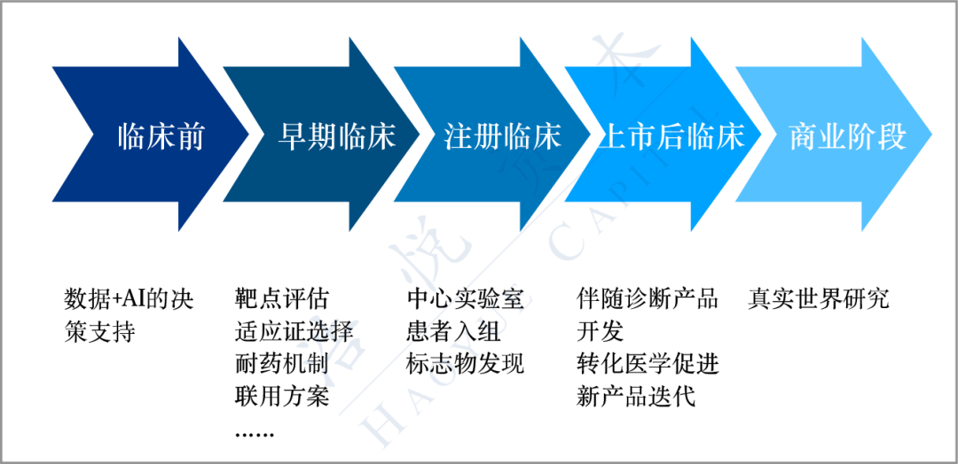 新奥资料，免费、精准、期期准的彩票研究新方向