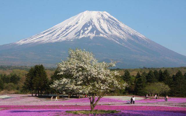 2023年富士山喷发，自然力量的震撼与人类社会的应对