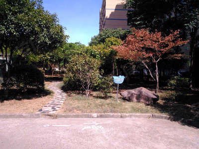 探索常青花园，租房指南与居住体验