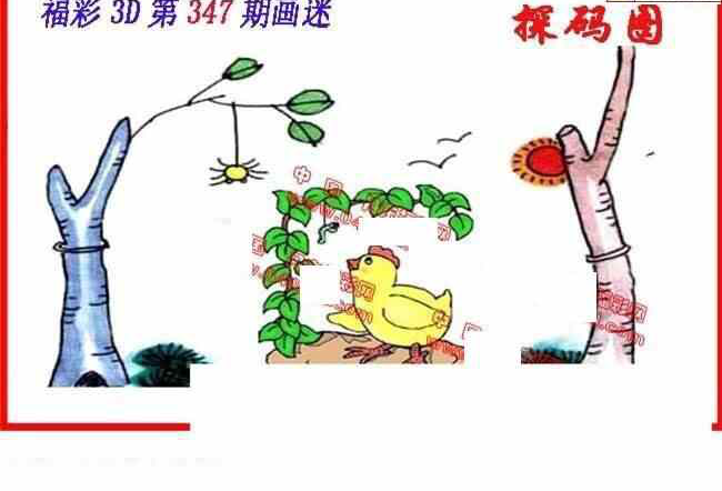 福彩3D丹东综合图库，探索数字背后的公益与乐趣