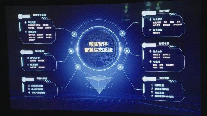 175000乐彩网3d论坛，数字背后的智慧与乐趣