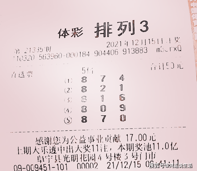 排列三字谜，数字与智慧的奇妙碰撞