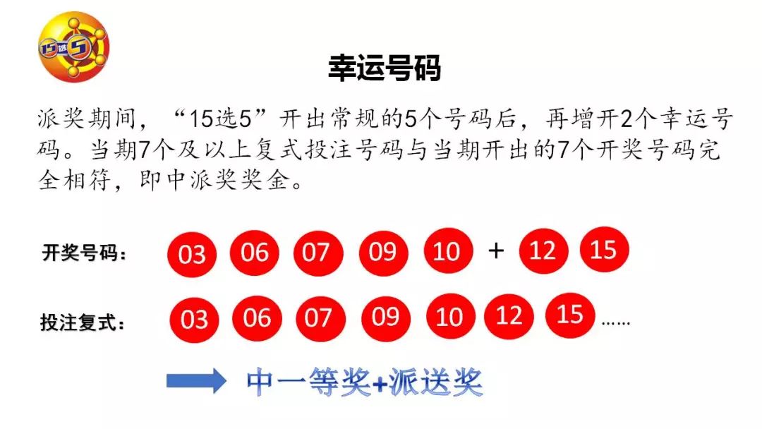 15选5开奖结果公告，揭秘数字背后的幸运与期待