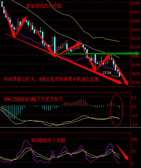 探索双色球基本走势，综合版中彩网深度解析