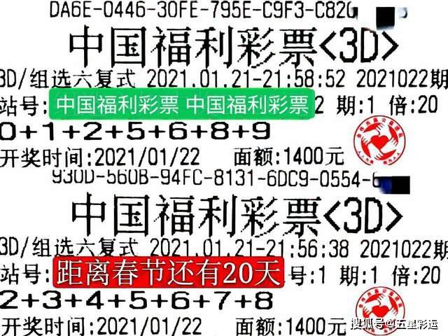 查福彩3D 209期字谜图谜总汇大全，揭秘数字背后的奥秘