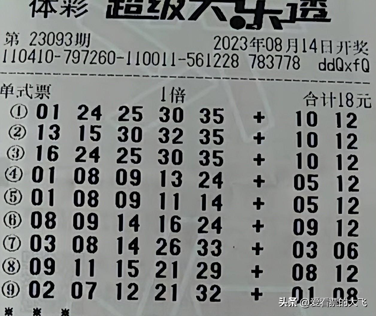 最新大乐透阳光探码图，揭秘数字背后的奥秘