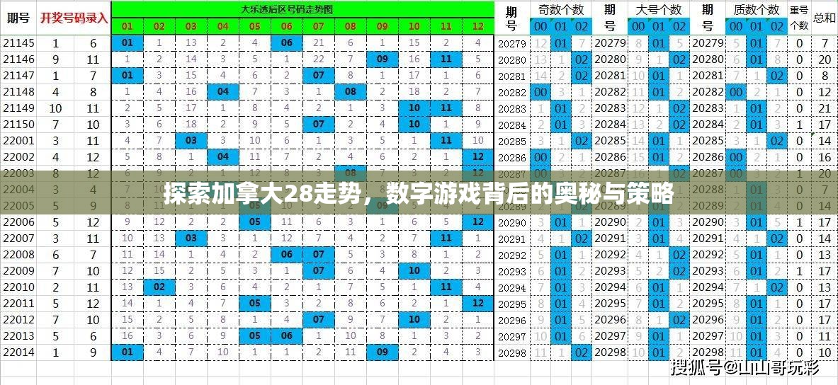 80开20选号技巧，揭秘数字游戏中的智慧与策略