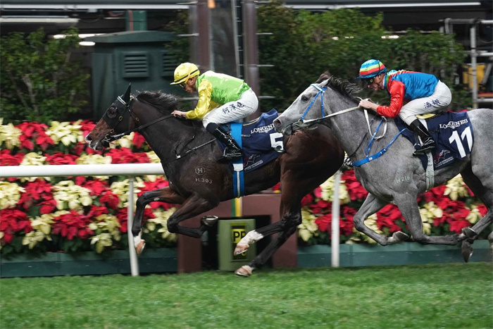 探索香港马会资料，历史、功能与影响香港赛马会资料信息唯一官方网站