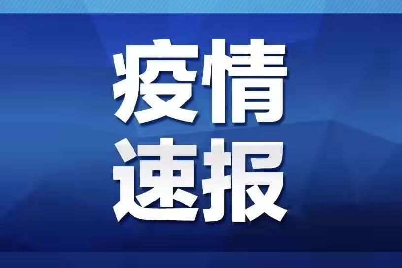 澳门六开奖，204年新春的惊喜与期待开奖澳门开奖结果 开奖记录表