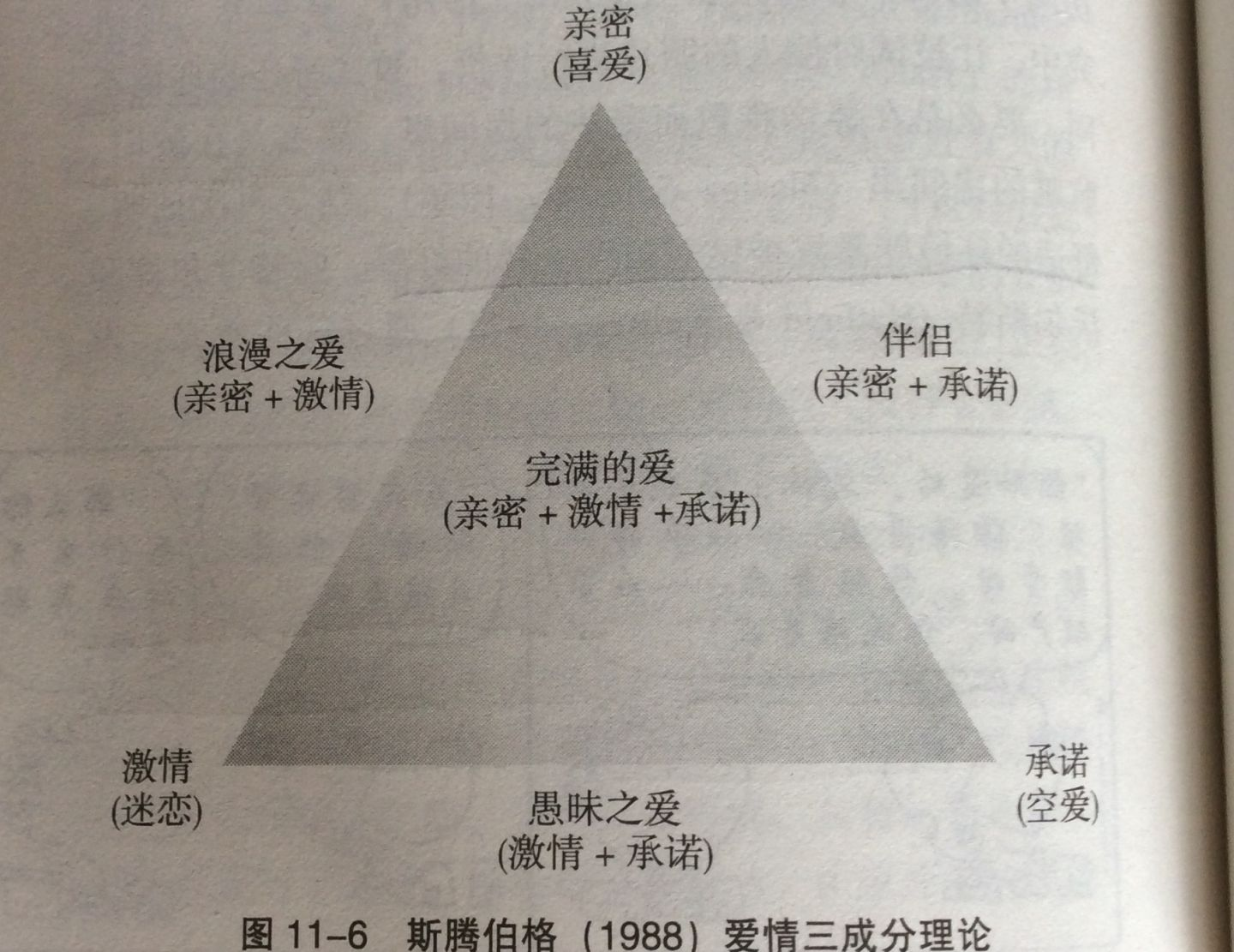 爱的原理与彩绘人生，探索情感色彩的奥秘爱的原理 雪莱