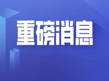 探索未来教育，新奥2046正版资料大全的全面解析新奥2024正版资料大全一点红网