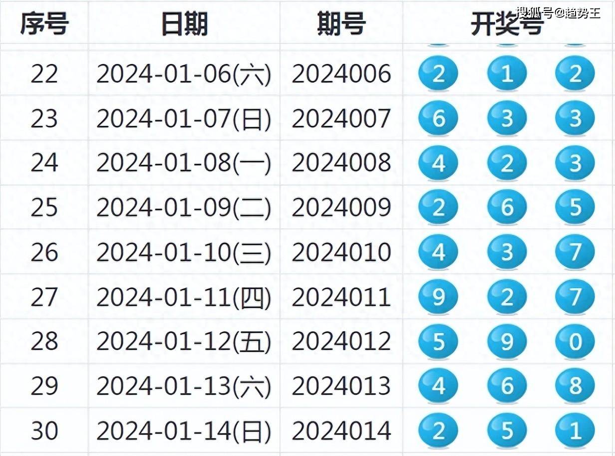 2039年回顾与展望