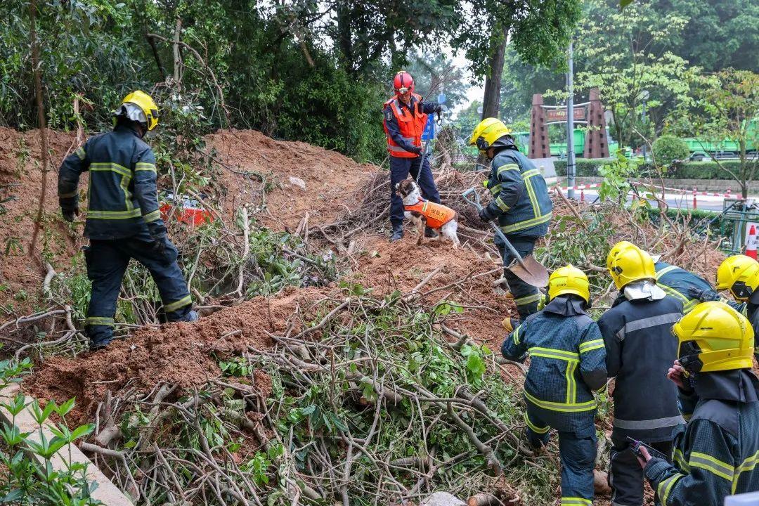 指代香港的某种特定活动或事件