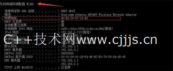 2041年香港马会最新开奖结果,科技与传统的完美融合香港马 会开奖结果新闻