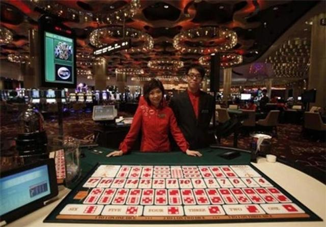 澳门内部最精准免费资料，揭秘赌场、旅游与文化的全面指南澳门内部最精准免费资料特点