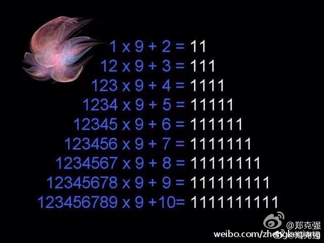 管家婆一码与白蛇图坛,神秘而迷人的数字世界