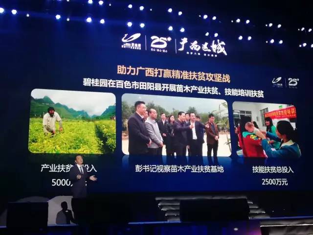 广西的狼精英主论坛，汇聚智慧与力量的地方广西的狼精英主论坛12366