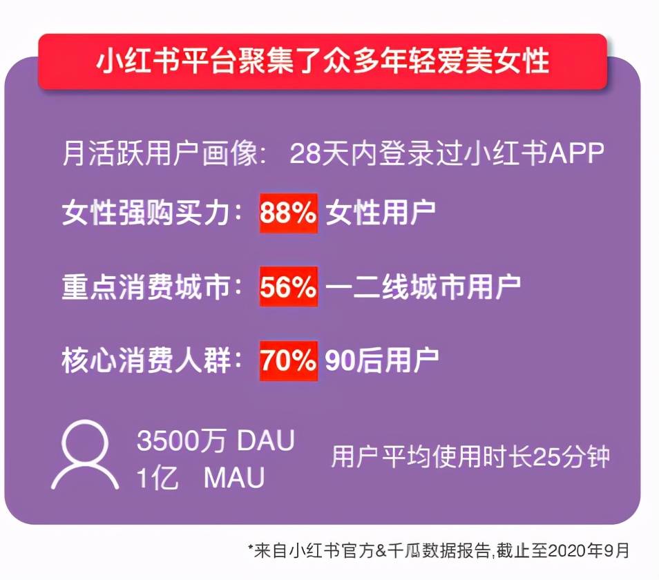 探索管家婆2036正版资料，解锁高效管理与决策的秘密武器