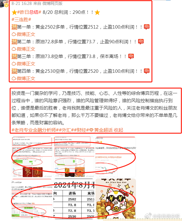 澳门管家婆资料正版大全,揭秘背后的真相与风险警示