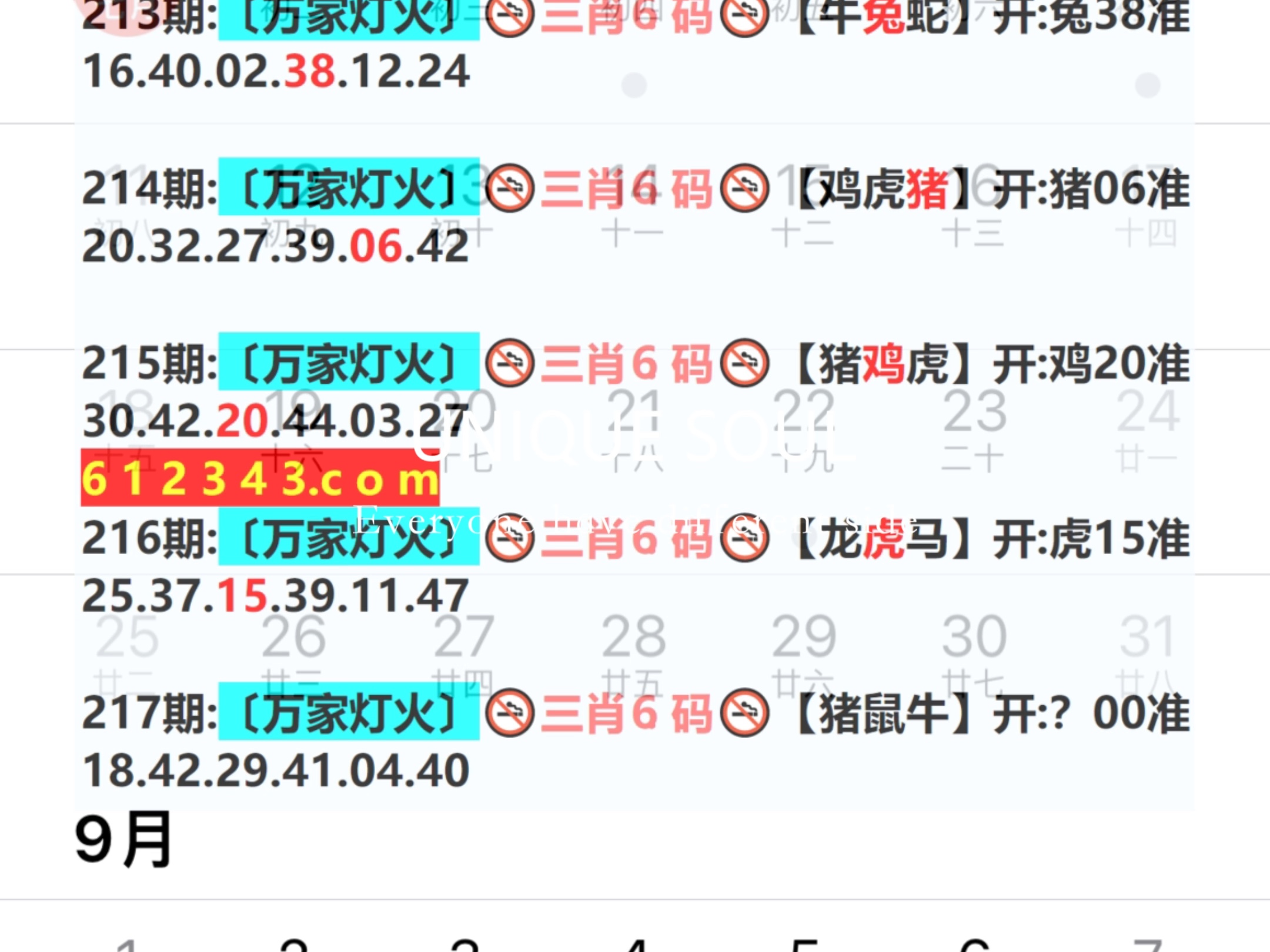 蓝月亮四肖八码精选资料，揭秘数字背后的奥秘与智慧蓝月亮四肖八码精选资料的2024年