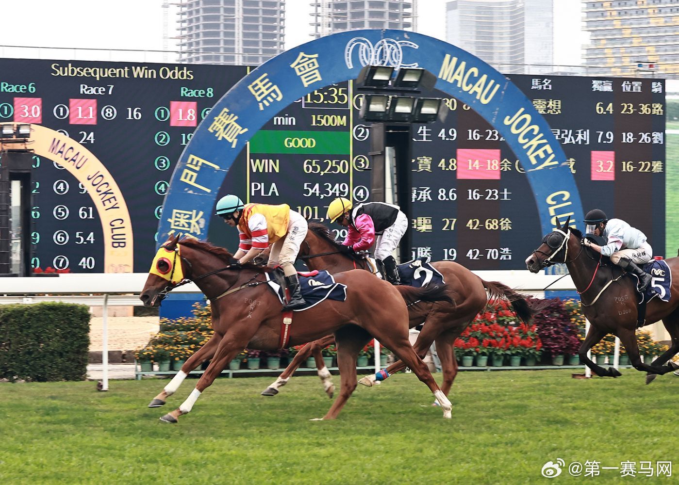 2019马会正版资料,深度解析与未来展望2020年正版马会精选资料