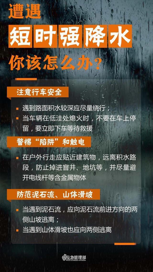 2036年澳门全年资料免费大全，全面解析与实用指南澳门一码一肖一特一中是合法的吗