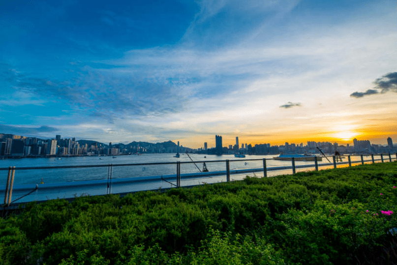 探索香港图库，免费资料大全与看图的乐趣香港图库资料宝典大全