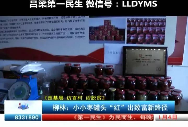 彩富网免费资料大全，与您同行在财富探索的征途上彩富免费资料大全与你同行手机报码