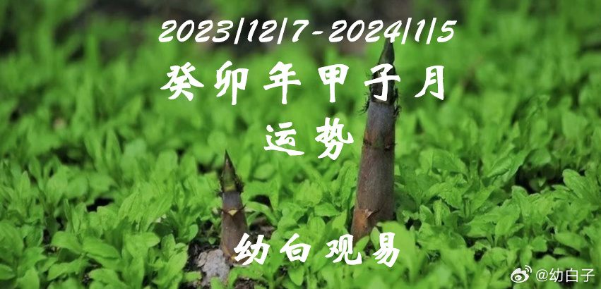2036年,管家婆的智慧之选—揭秘未来彩票趋势与理性投注管家婆一三肖必中特