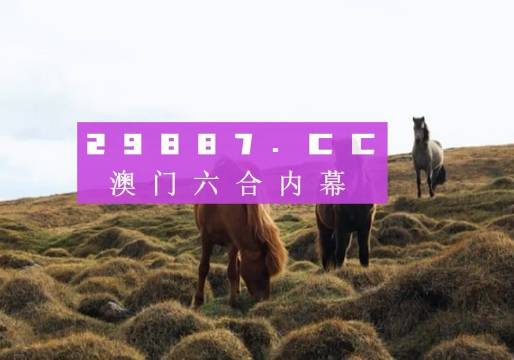 2035年,澳门开奖结果查询的数字化新纪元2023的澳门开奖结果查询今天开什么
