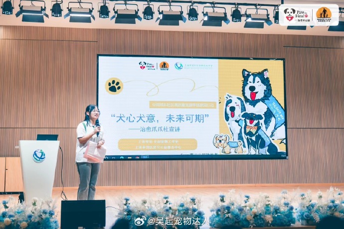 探索小青年心水论坛,青春的交流与成长的共鸣小青年心水主论坛