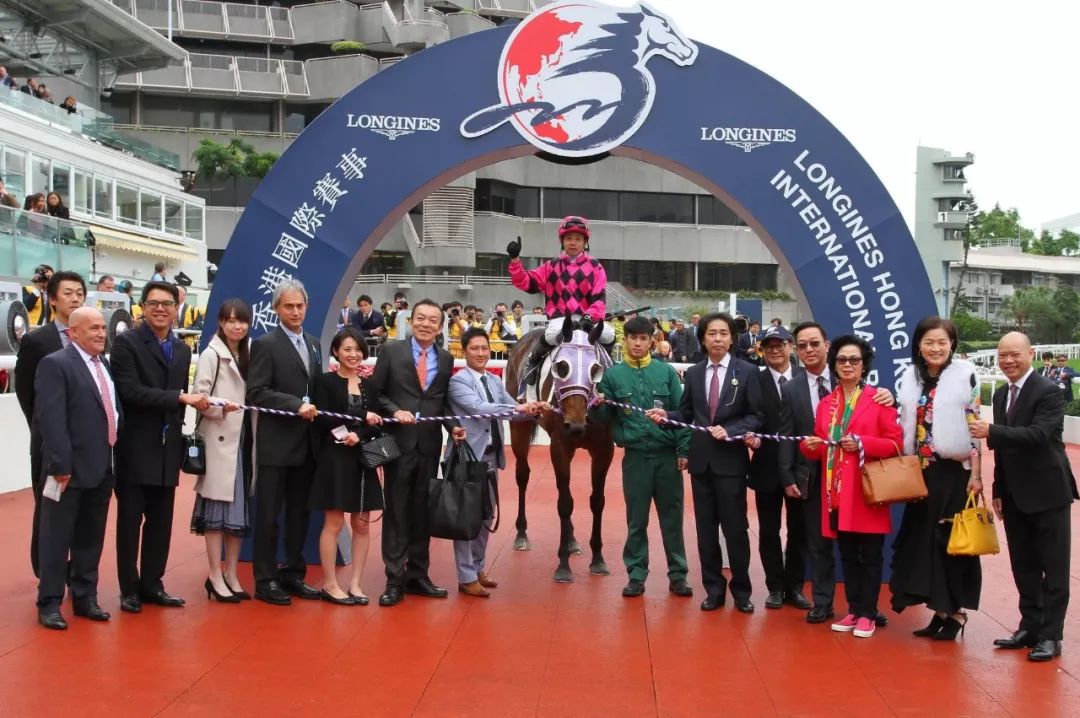 探索香港马会资料,历史、运营与影响马会资料免费长期公开