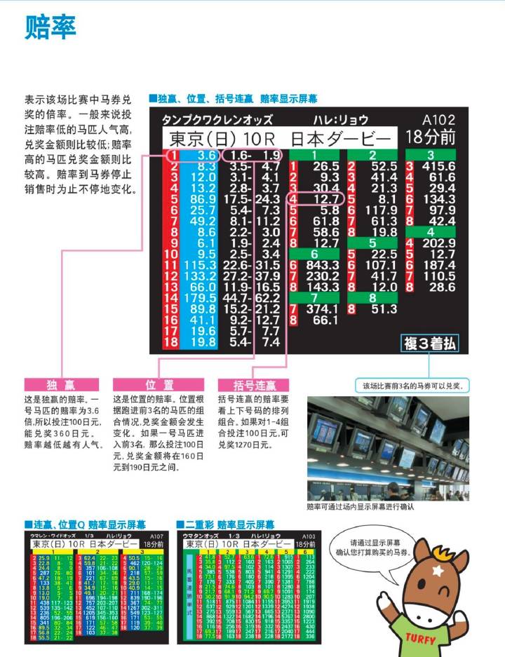 免费马会传真论坛，赛马的智慧与乐趣马会传真论坛免费大全资料使用方法