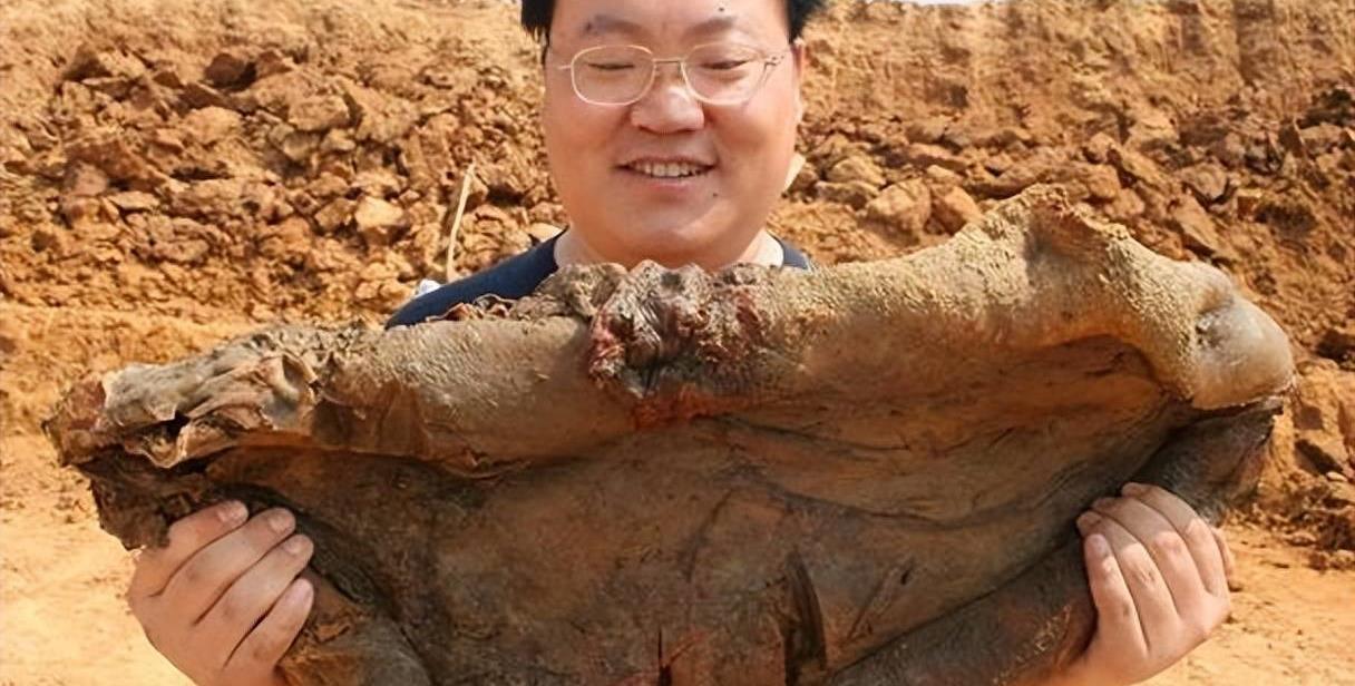 今晚9点30,揭秘生肖之谜今晚9点30开什么生肖,香港