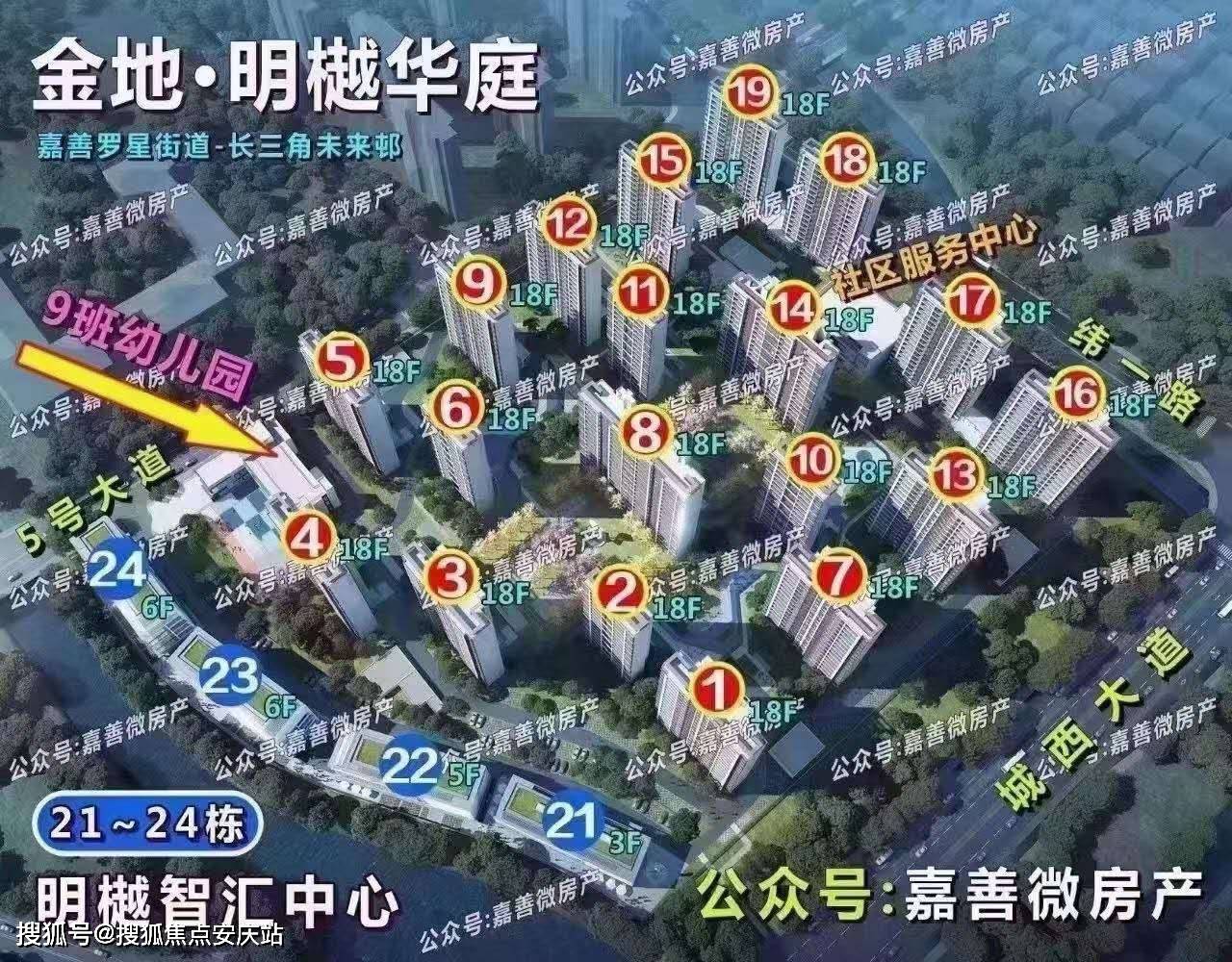 探索双色球中奖奥秘，开奖项目与结果查询全解析双色球中奖开奖号码结果查询表最新消息
