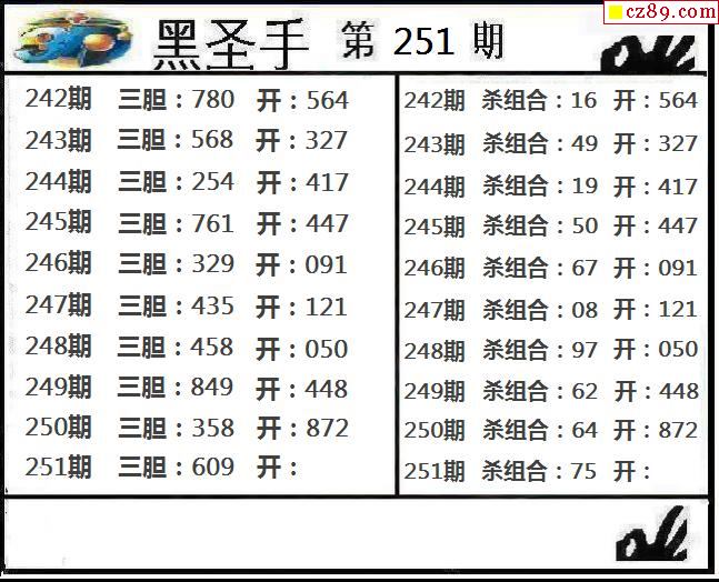 2017年黑圣手3D字谜总汇，揭秘数字背后的智慧与乐趣3d2017黑圣手字谜汇总字谜