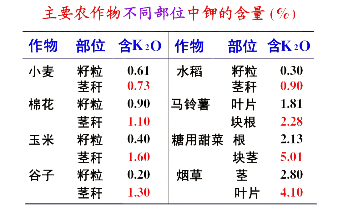 真精华布衣3d正版12,揭秘数字背后的智慧与魅力真精华布衣3d正版图 今天