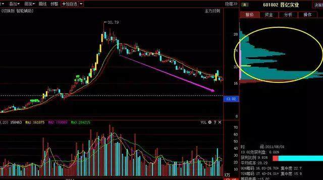 筹码分布图入门与技巧，解锁股市分析的秘密武器筹码分布图入门与技巧 实战