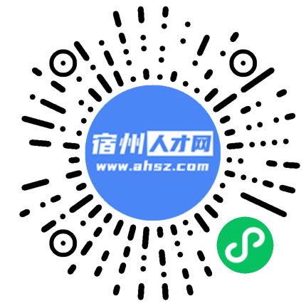 宿州人才信息网官网,打造高效便捷的求职与招聘平台宿州人才信息网官网入口查询