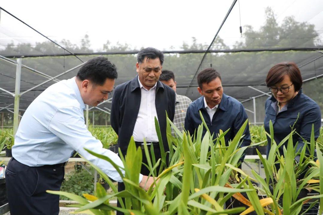 长岭新闻最新消息,乡村振兴的生动实践与未来展望长岭新闻最新消息视频