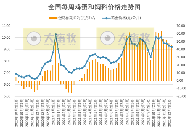 中国饲料行业信息网与鸡蛋价格波动探析中国饲料行业信息网鸡蛋价格查询