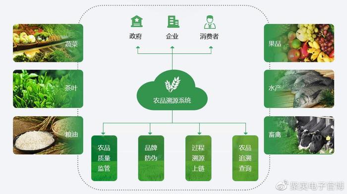 探索中国饲料信息行业网，数字化时代的农业新引擎中国饲料信息行业网手机版