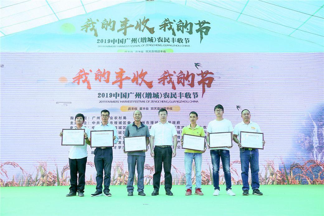 增城信息网，打造智慧城市的新引擎增城信息网最新招聘