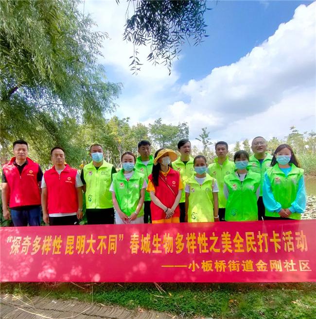 昆明房产楼盘，城市发展的新篇章与居住梦想的栖息地昆明房产楼盘排名