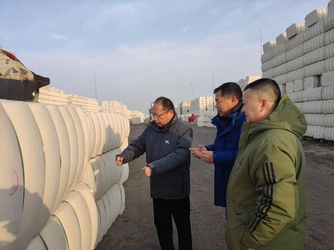 数字时代下的棉花质量监管新篇章,透视中国棉花公检信息网棉花公检数据平台