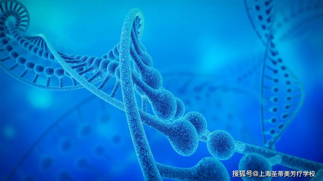东方基因CT技术，揭开怀孕检测的神秘面纱东方基因生物技术有限公司地址