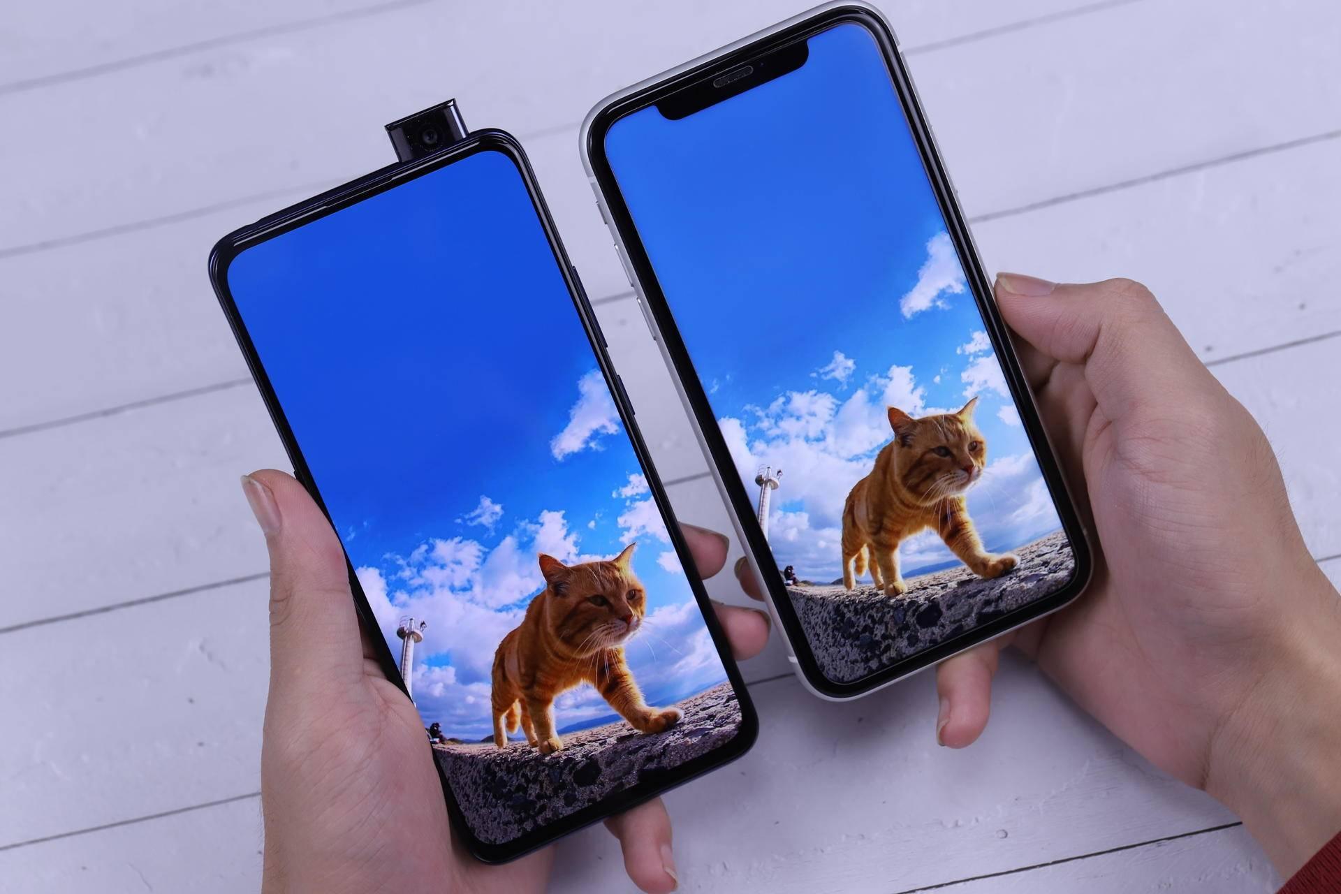 探索语言奥秘，中文词汇是什么意思的深度解析与读音指南iphone是什么意思中文怎么读