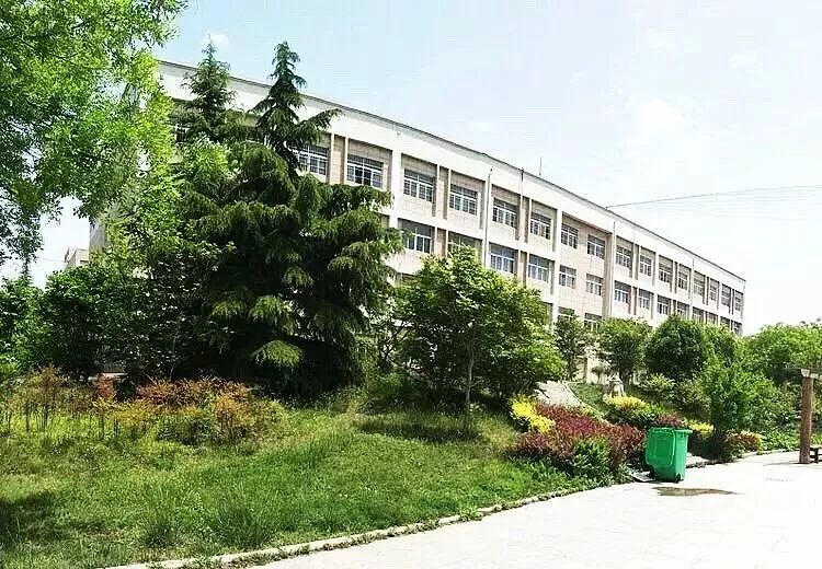 探索正版樱花校园，打造安全、纯净的虚拟学习环境正版樱花校园在哪下载